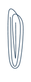 Image45